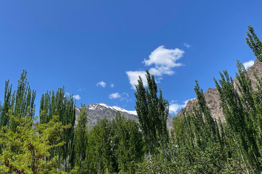 Exclusive Mountain View